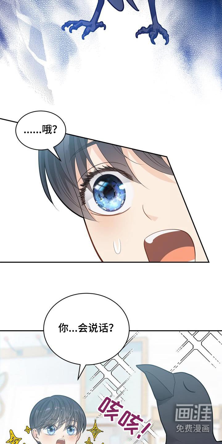 第64章：【第二季】说话的鸟 