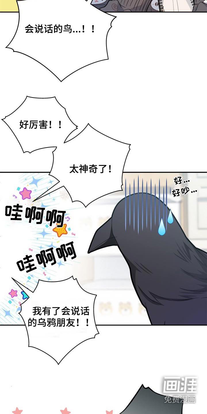第64章：【第二季】说话的鸟 