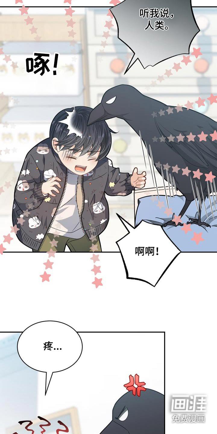 第64章：【第二季】说话的鸟 
