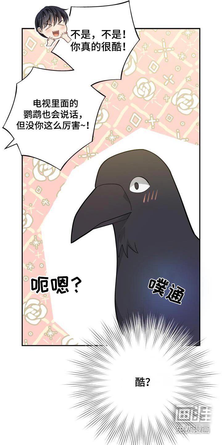 第64章：【第二季】说话的鸟 