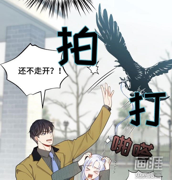 第76章：【第二季】受伤