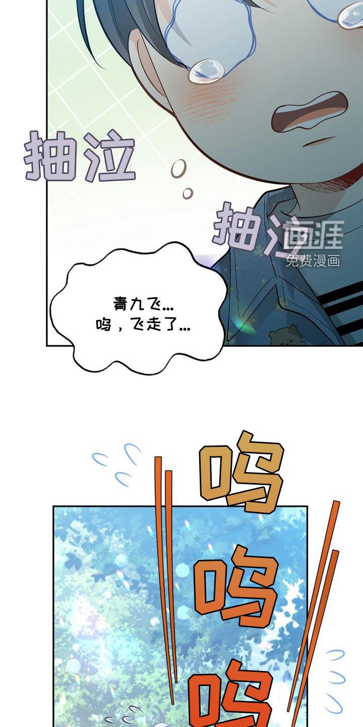 第78章：【第二季】飞走的鸟