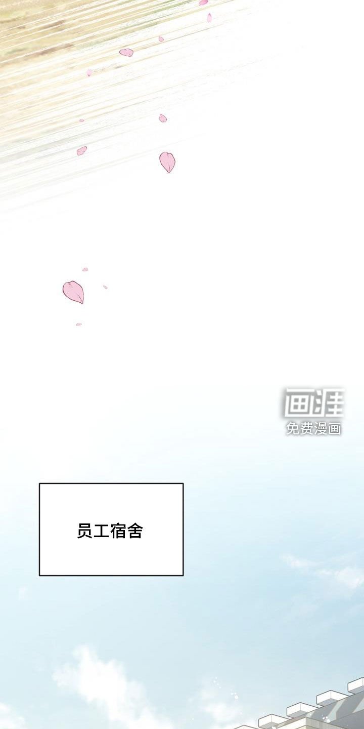 第81章：【第二季】也许是机会