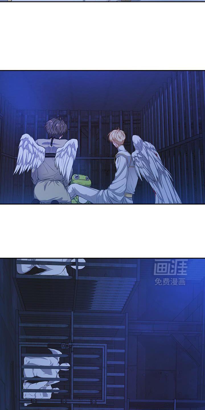 第117章：【第二季】这是哪里