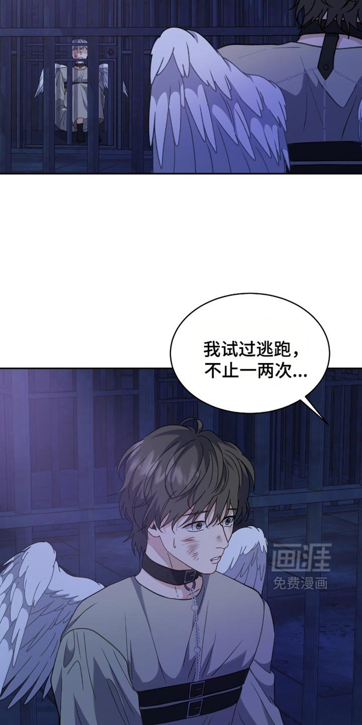 第124章：【第二季】一定很美妙