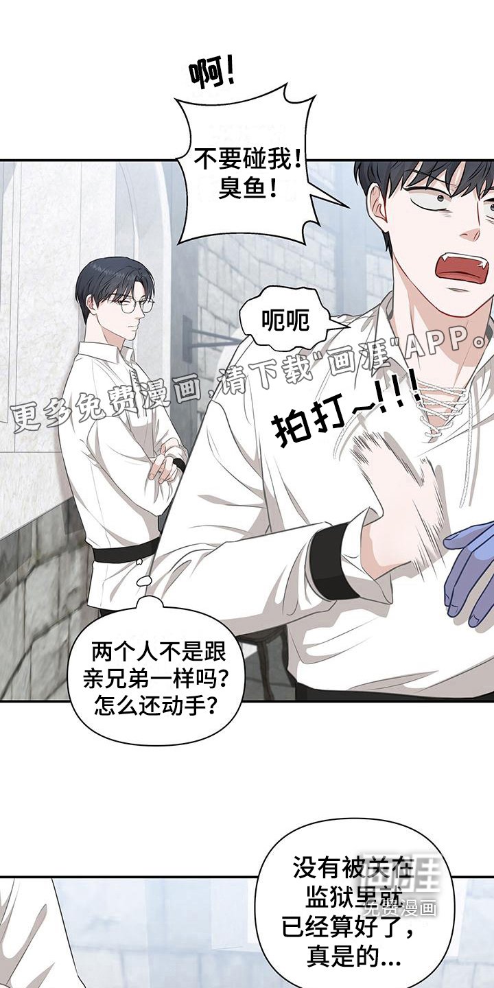 第15章：分析