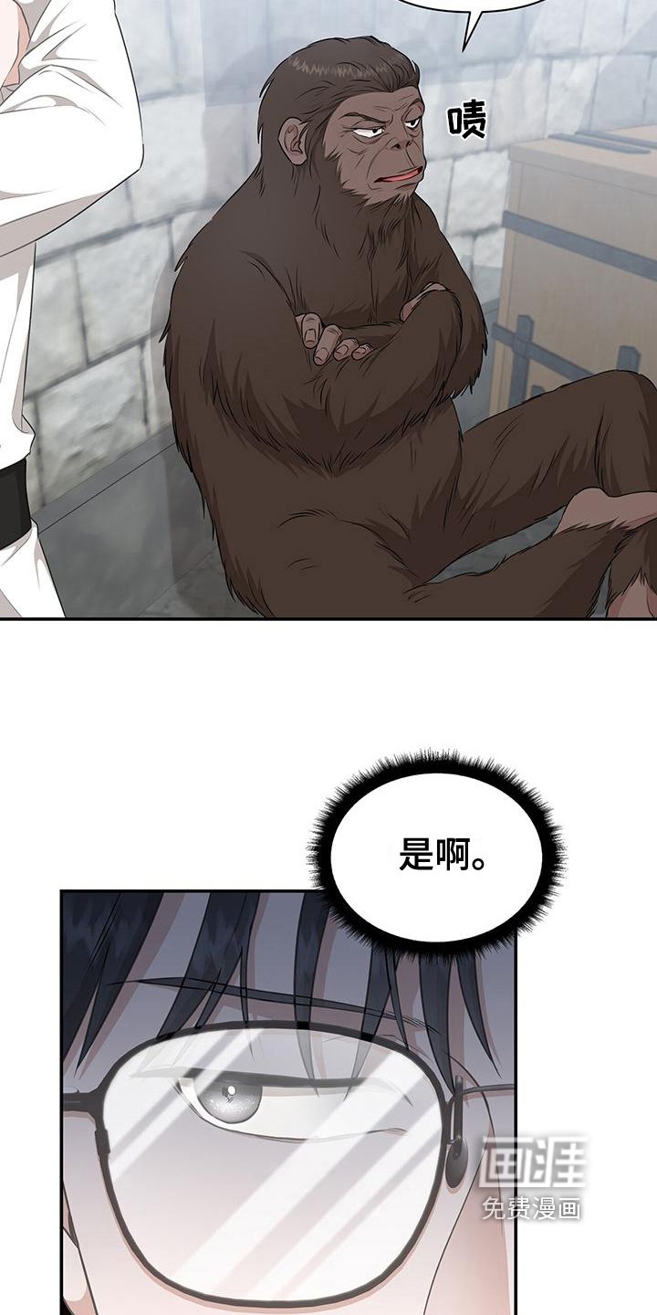 第15章：分析