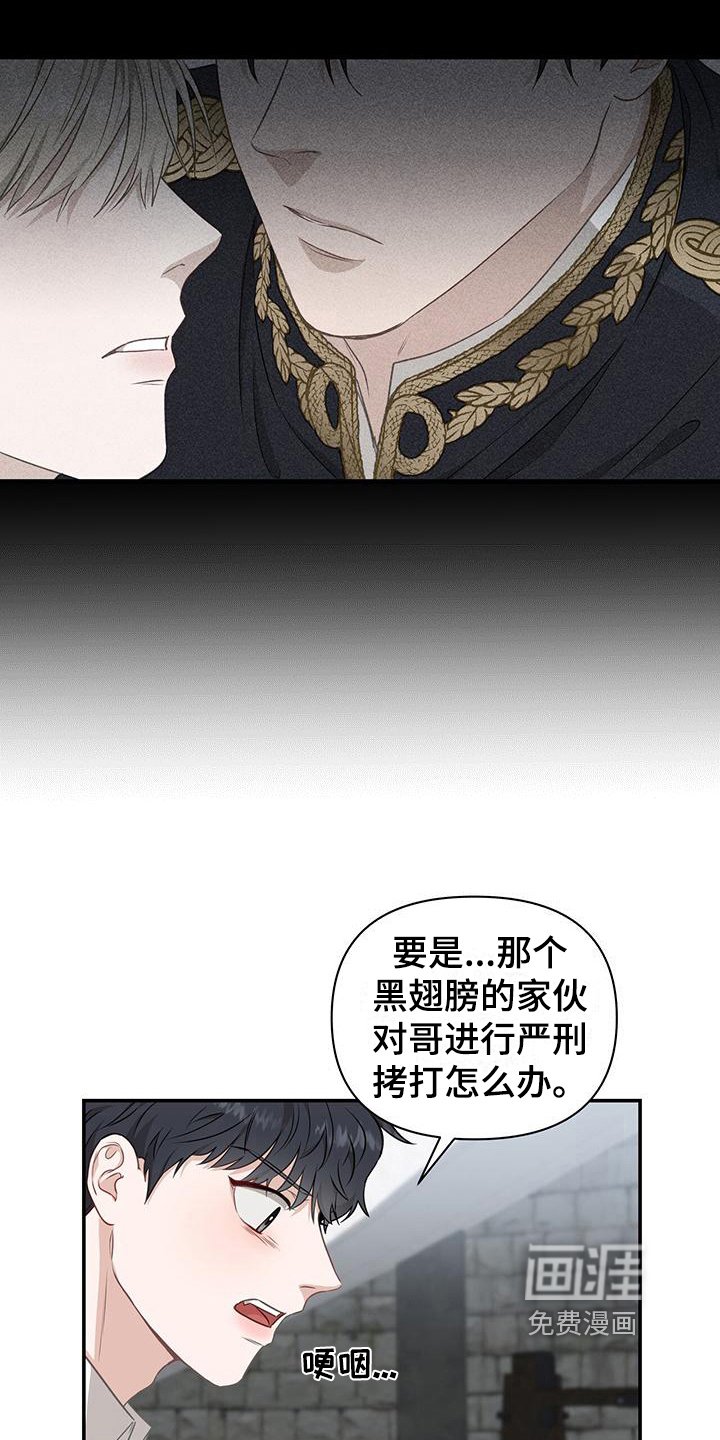 第15章：分析