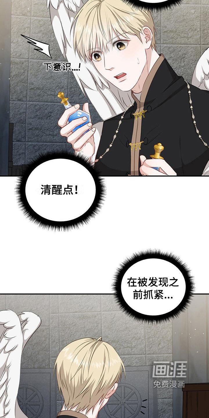 第21章：偷药