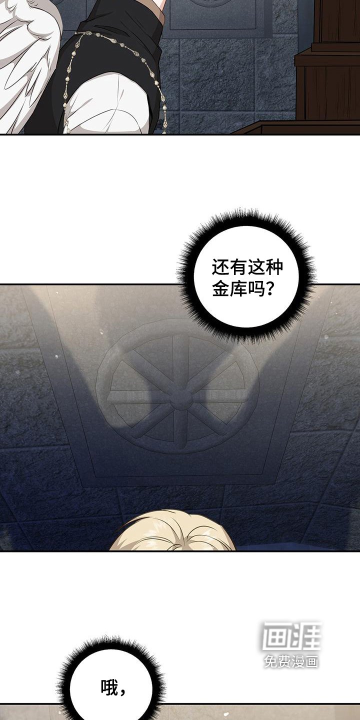 第21章：偷药