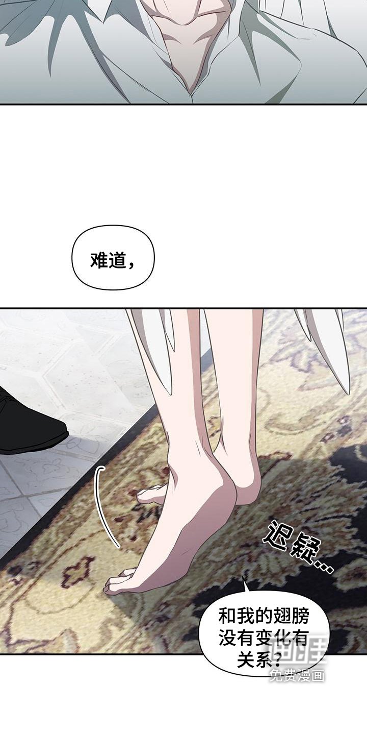 第28章：变化