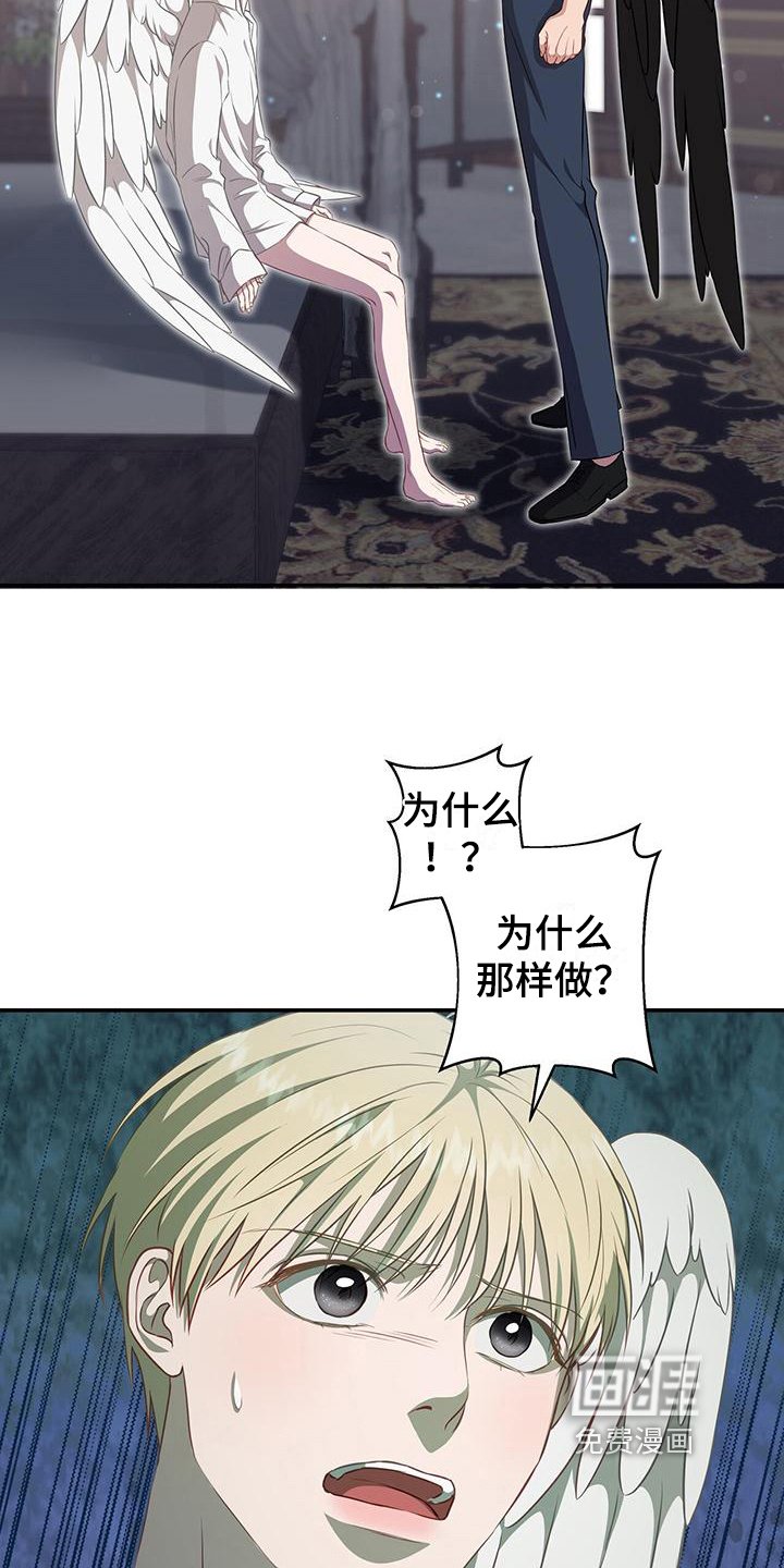 第29章：原计划