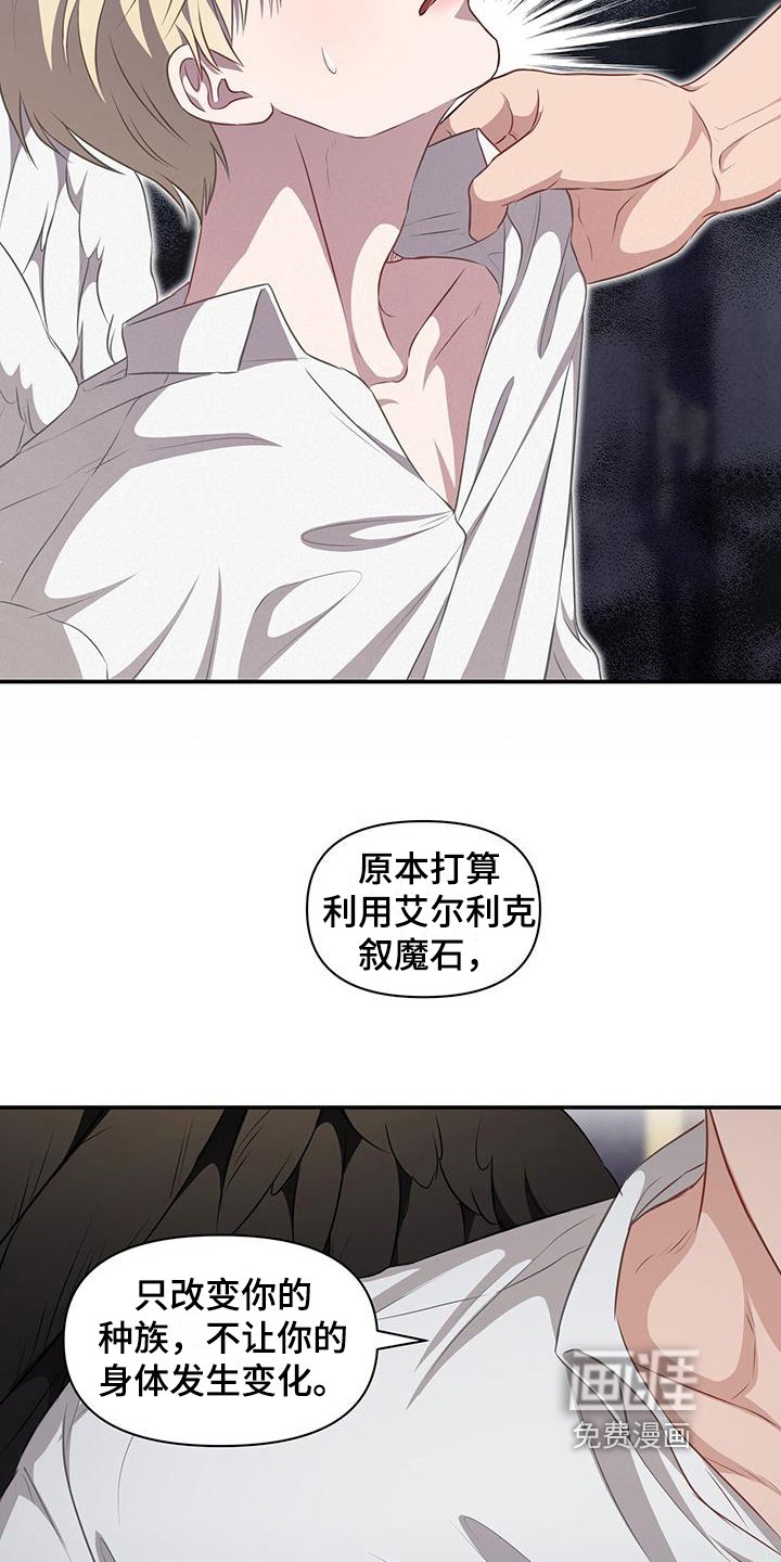 第29章：原计划