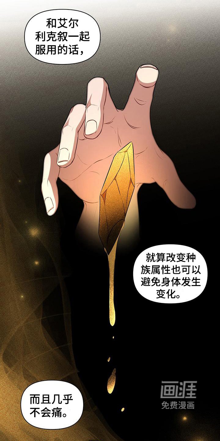 第29章：原计划
