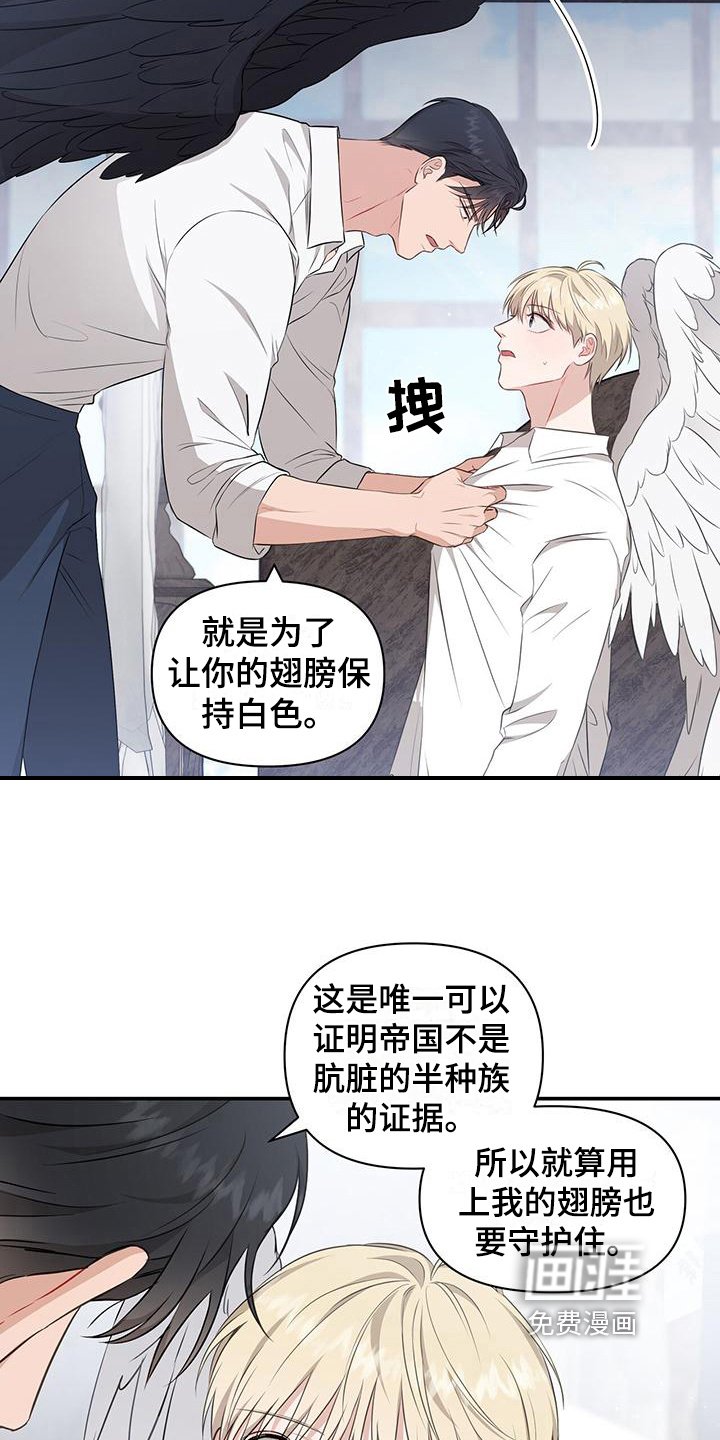 第29章：原计划