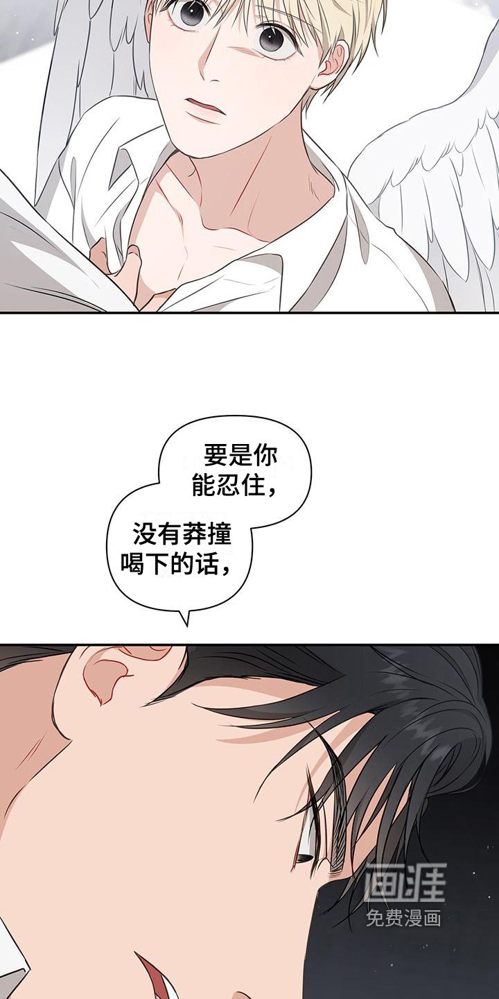 第29章：原计划