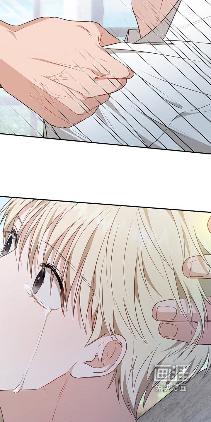 第29章：原计划