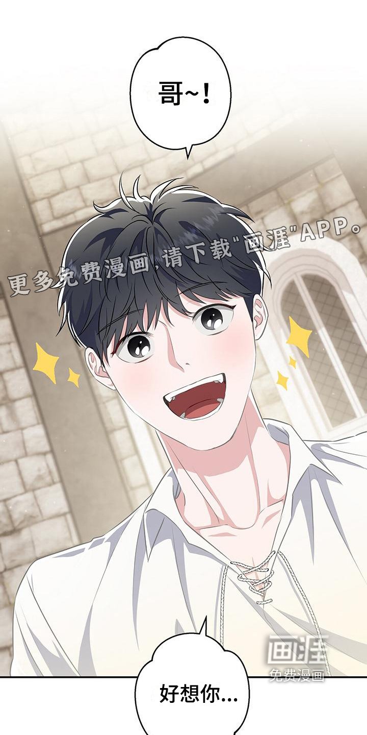 第36章：安排