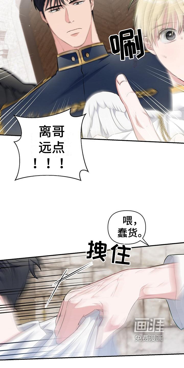 第36章：安排