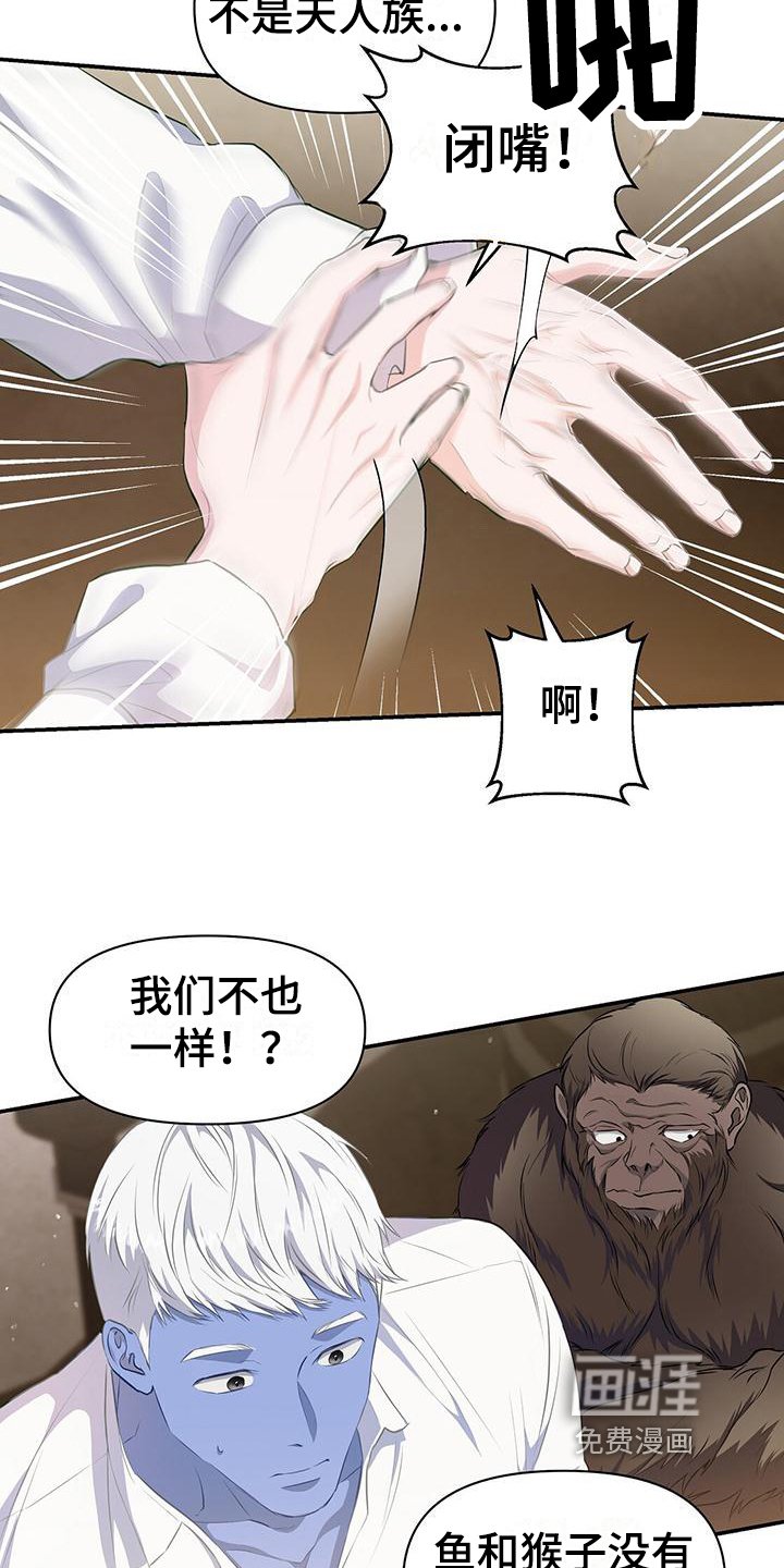 第36章：安排