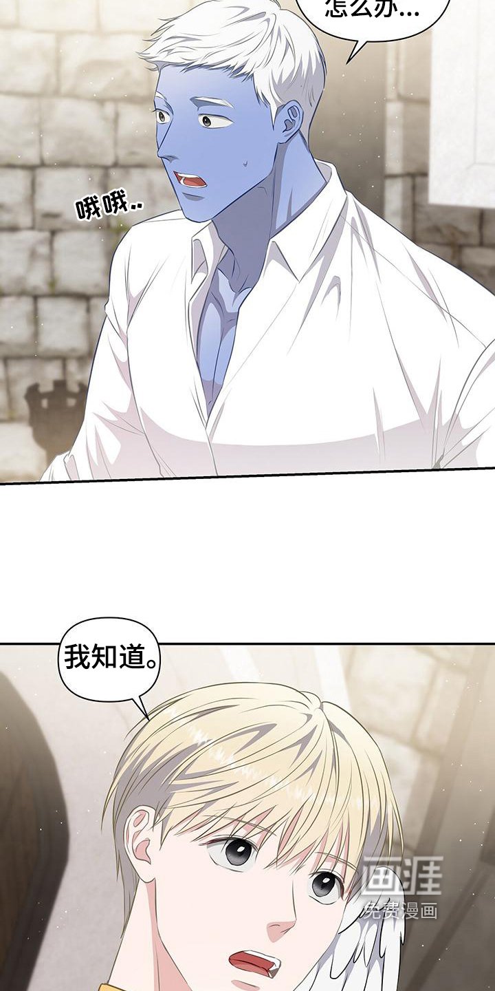 第36章：安排
