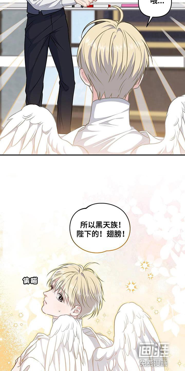 第47章：翅膀