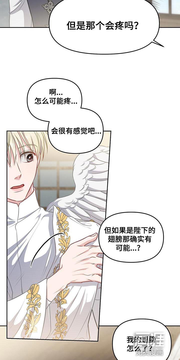 第47章：翅膀