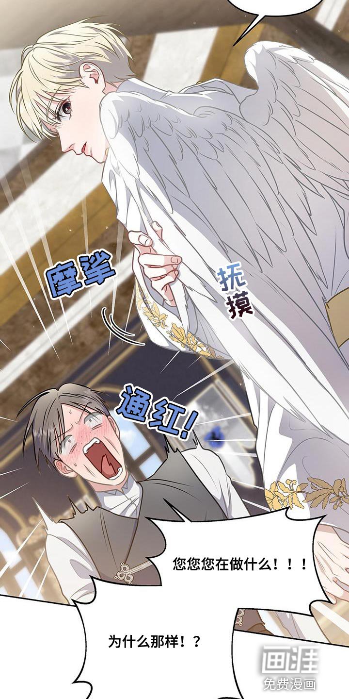 第47章：翅膀