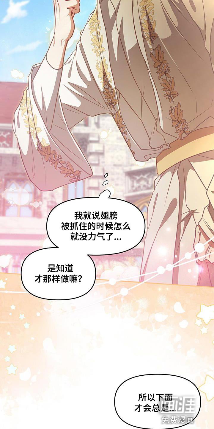 第47章：翅膀