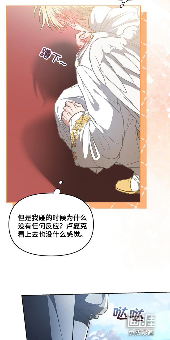 第47章：翅膀