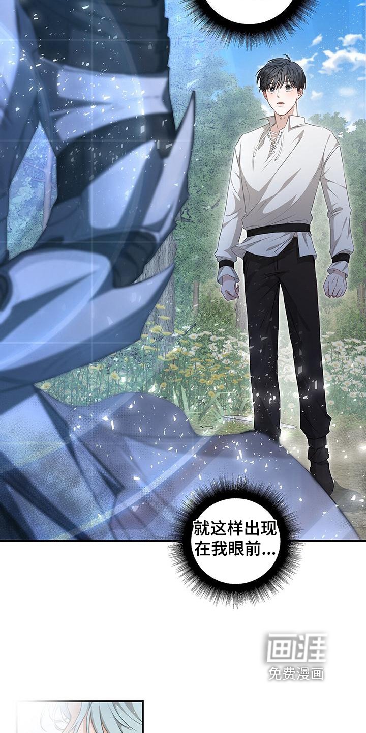 第7章：护卫