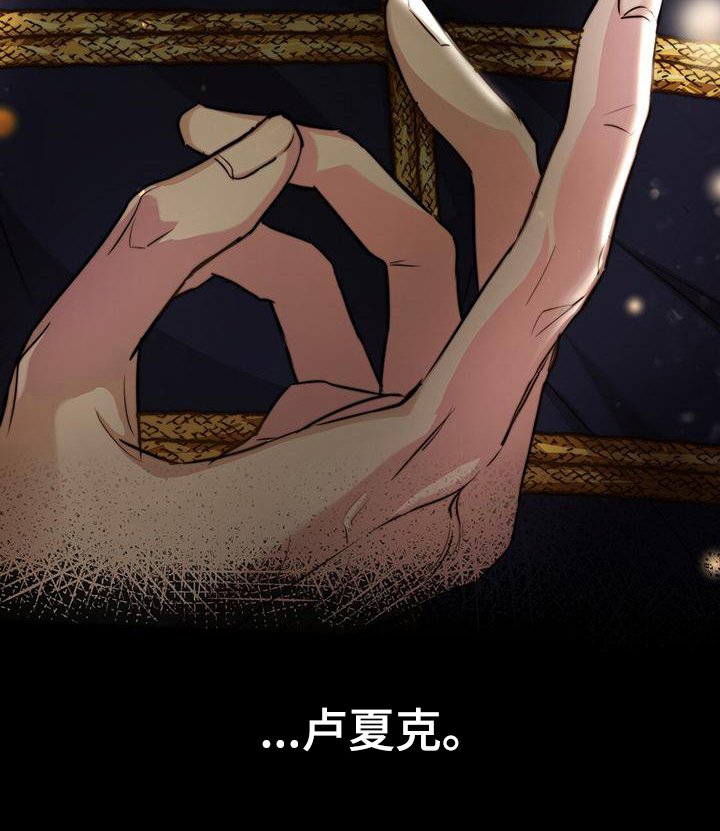 第7章：护卫