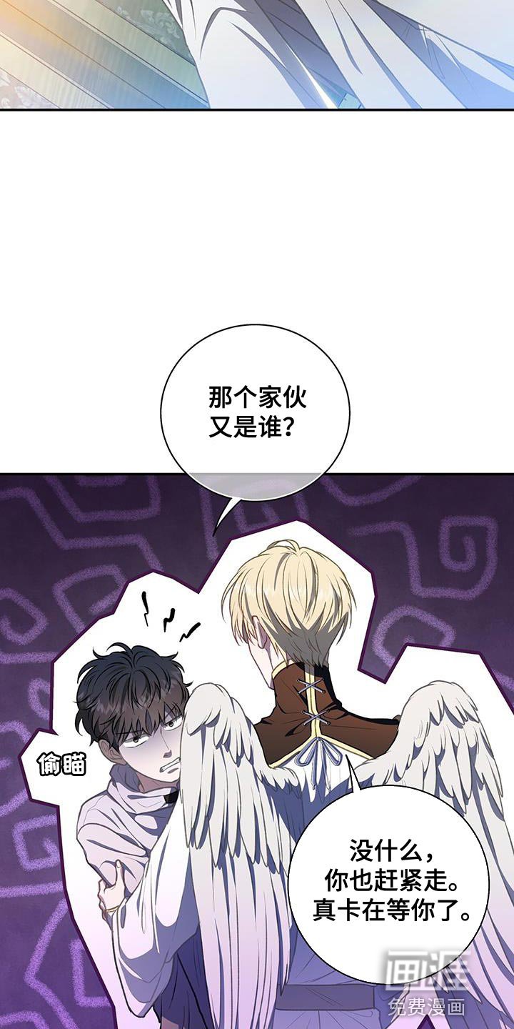 第71章：想要羽毛