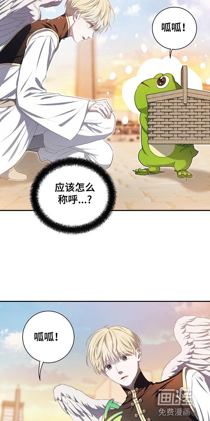 第71章：想要羽毛