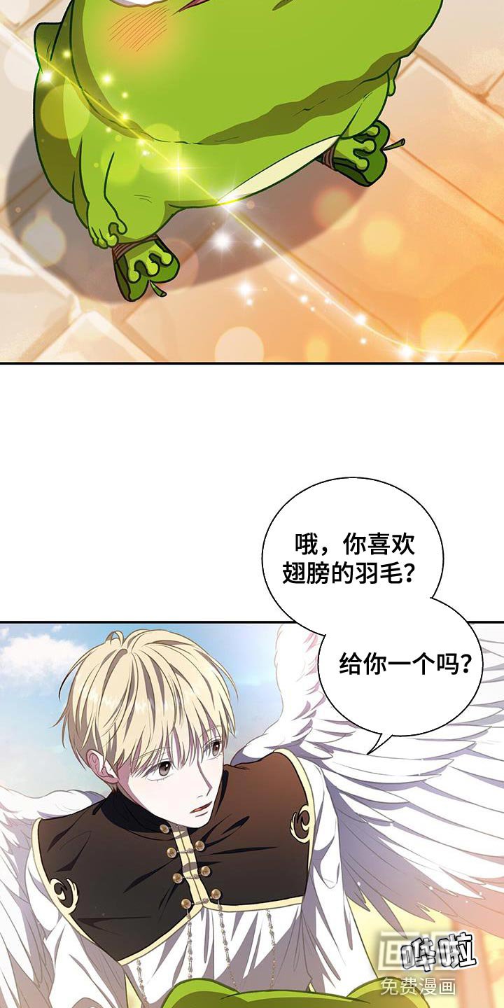 第71章：想要羽毛