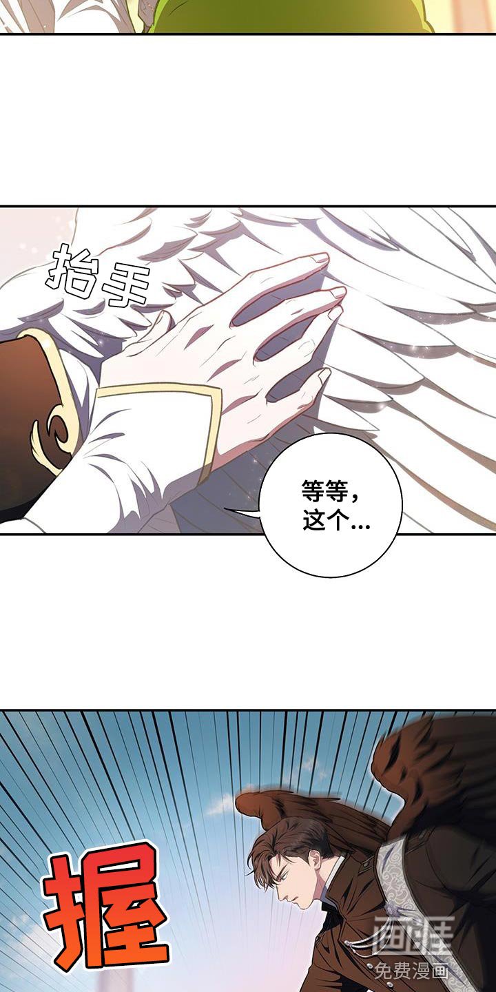 第71章：想要羽毛
