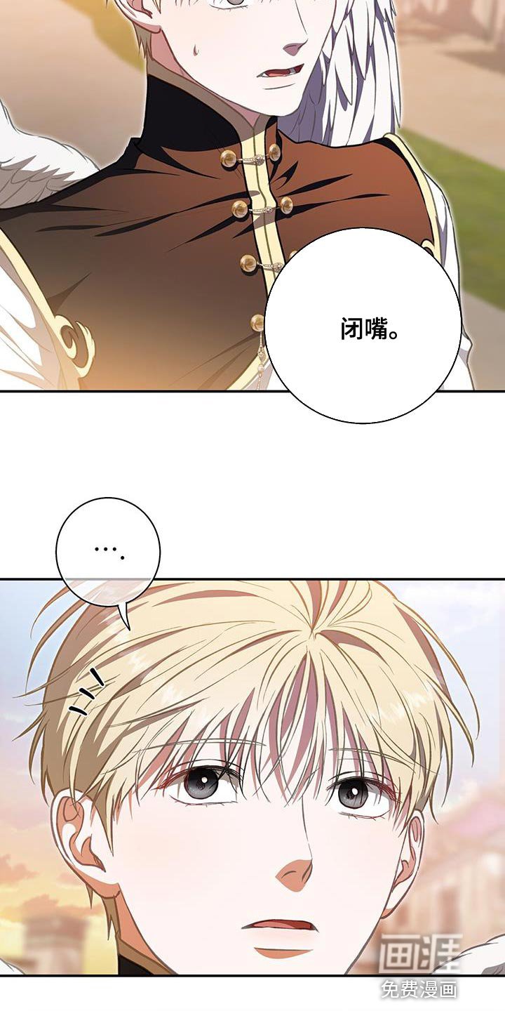 第71章：想要羽毛