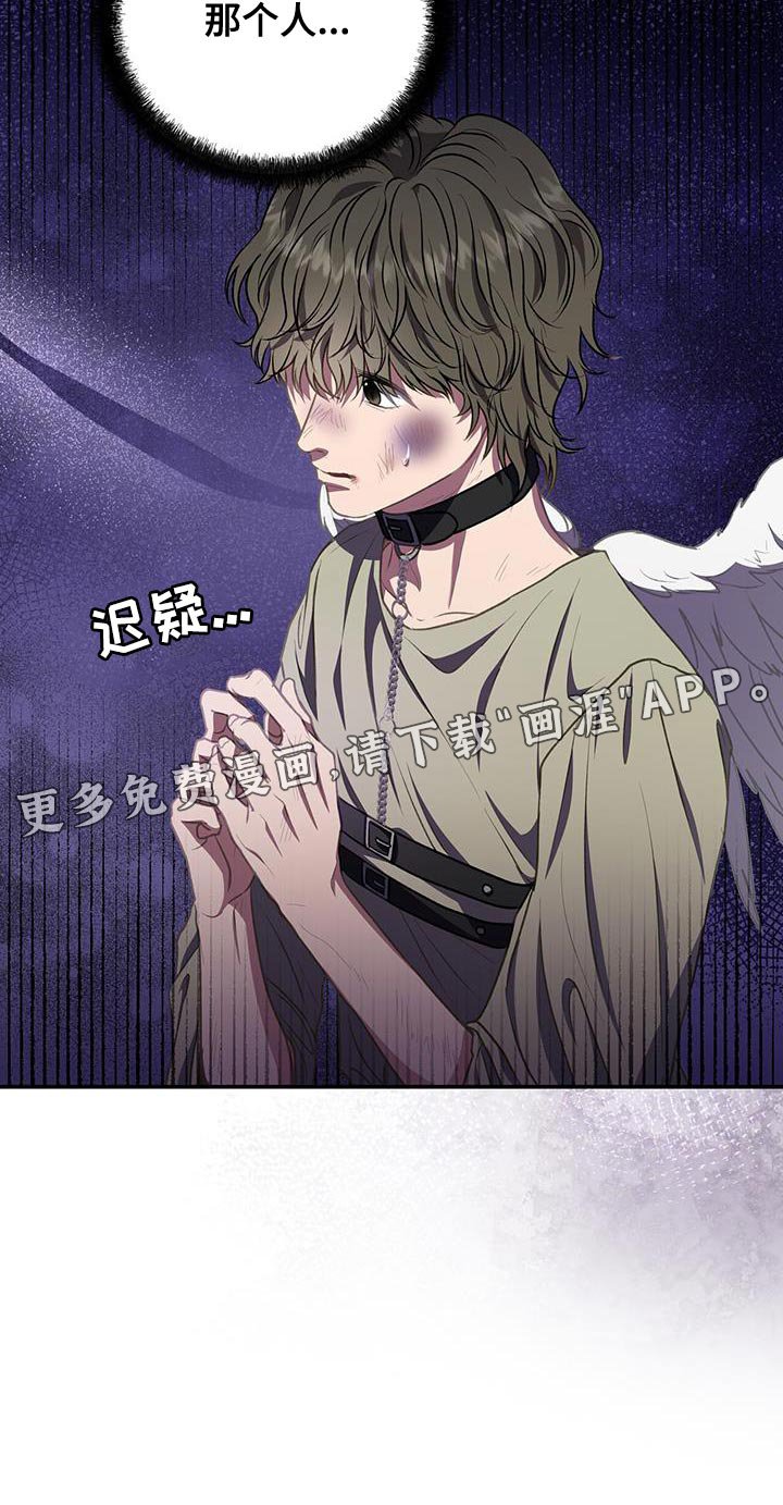第71章：想要羽毛
