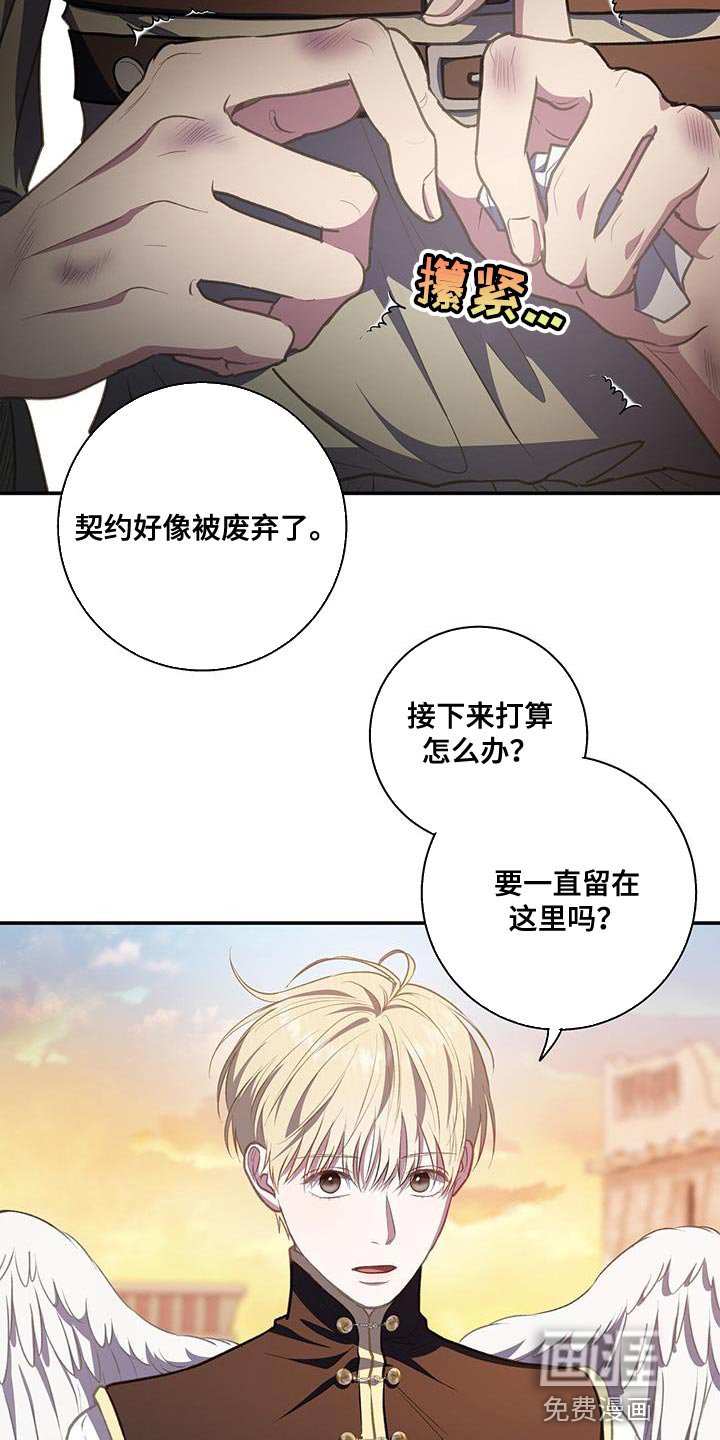 第72章：两个契约