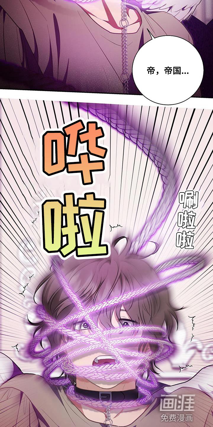 第72章：两个契约
