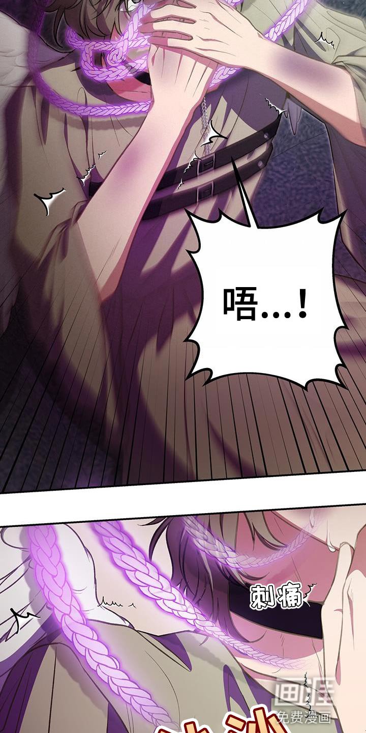 第72章：两个契约