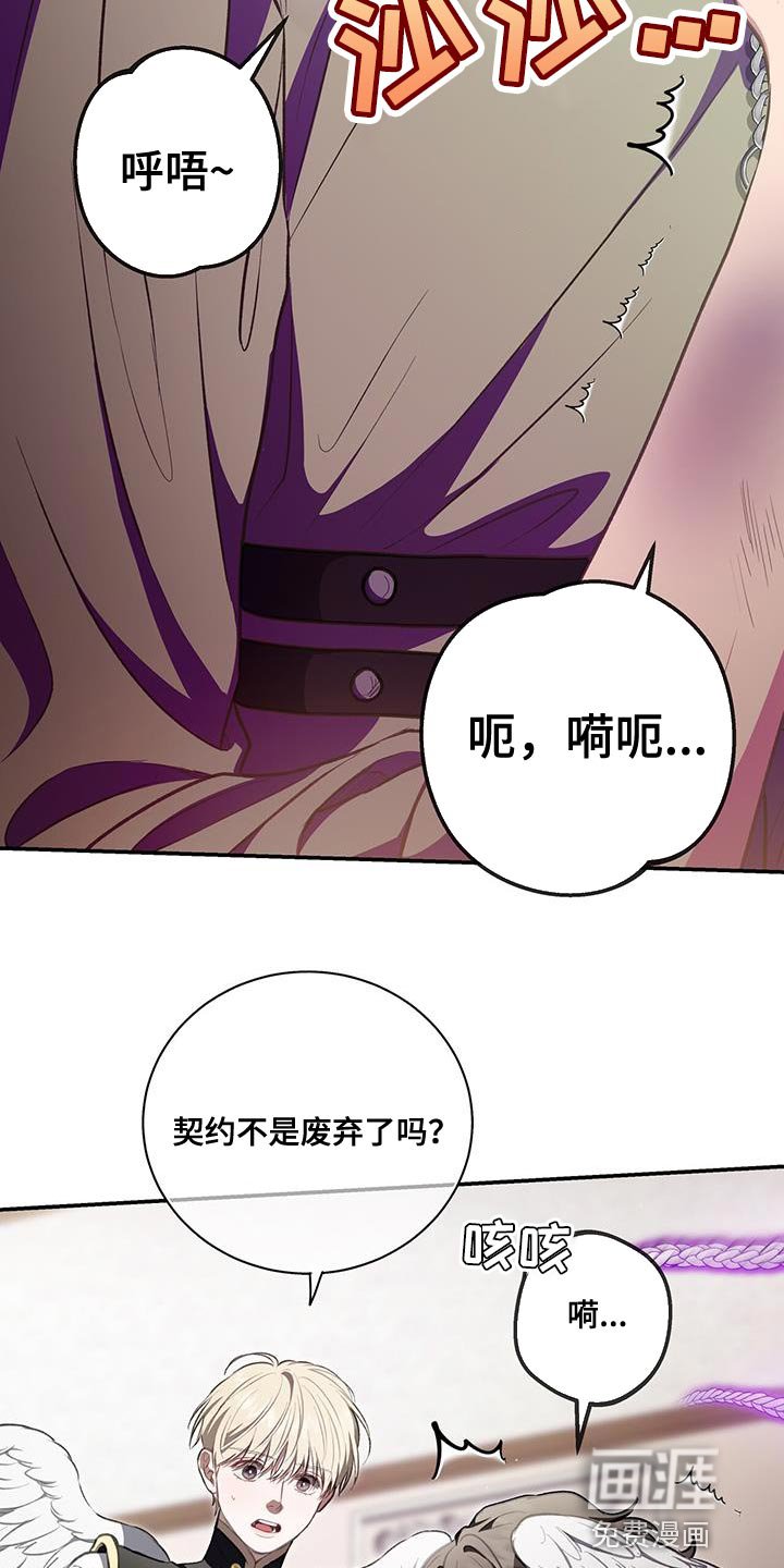 第72章：两个契约