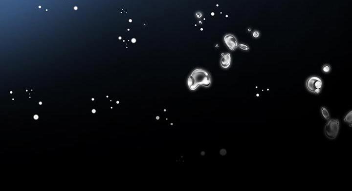 第81章：【第二季】压力