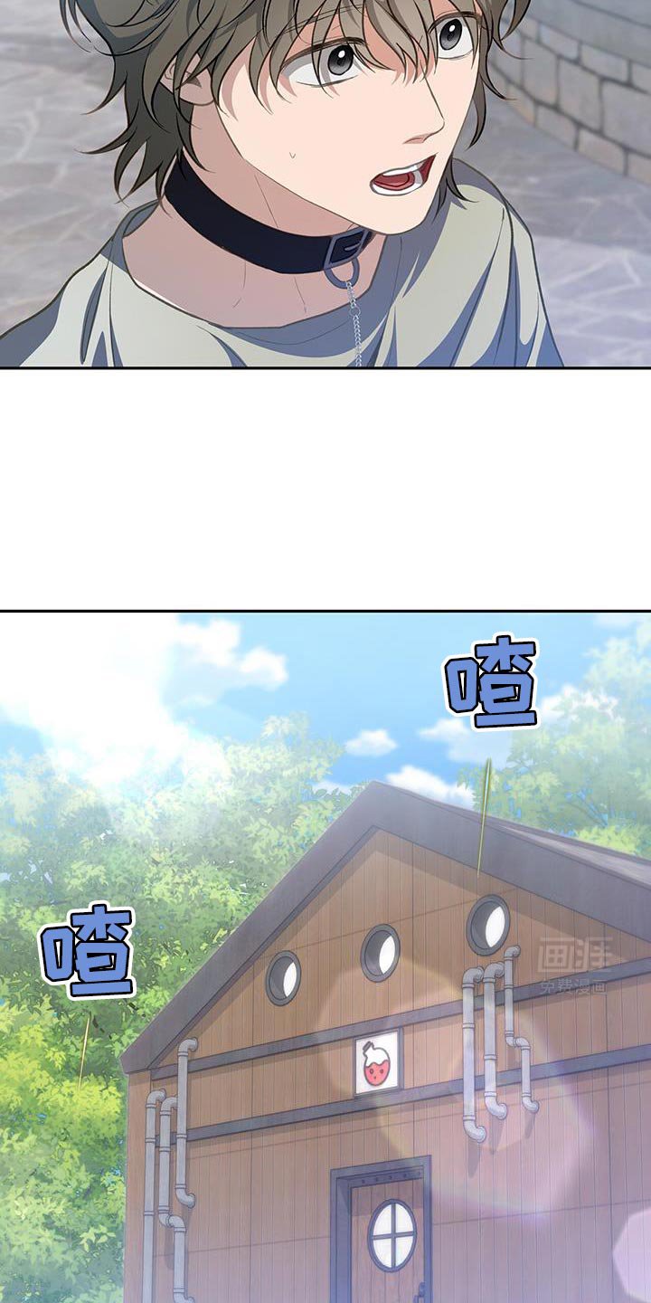 第88章：【第二季】森林的味道