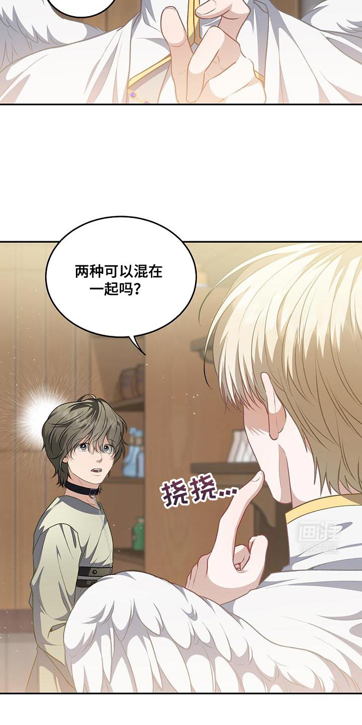 第88章：【第二季】森林的味道