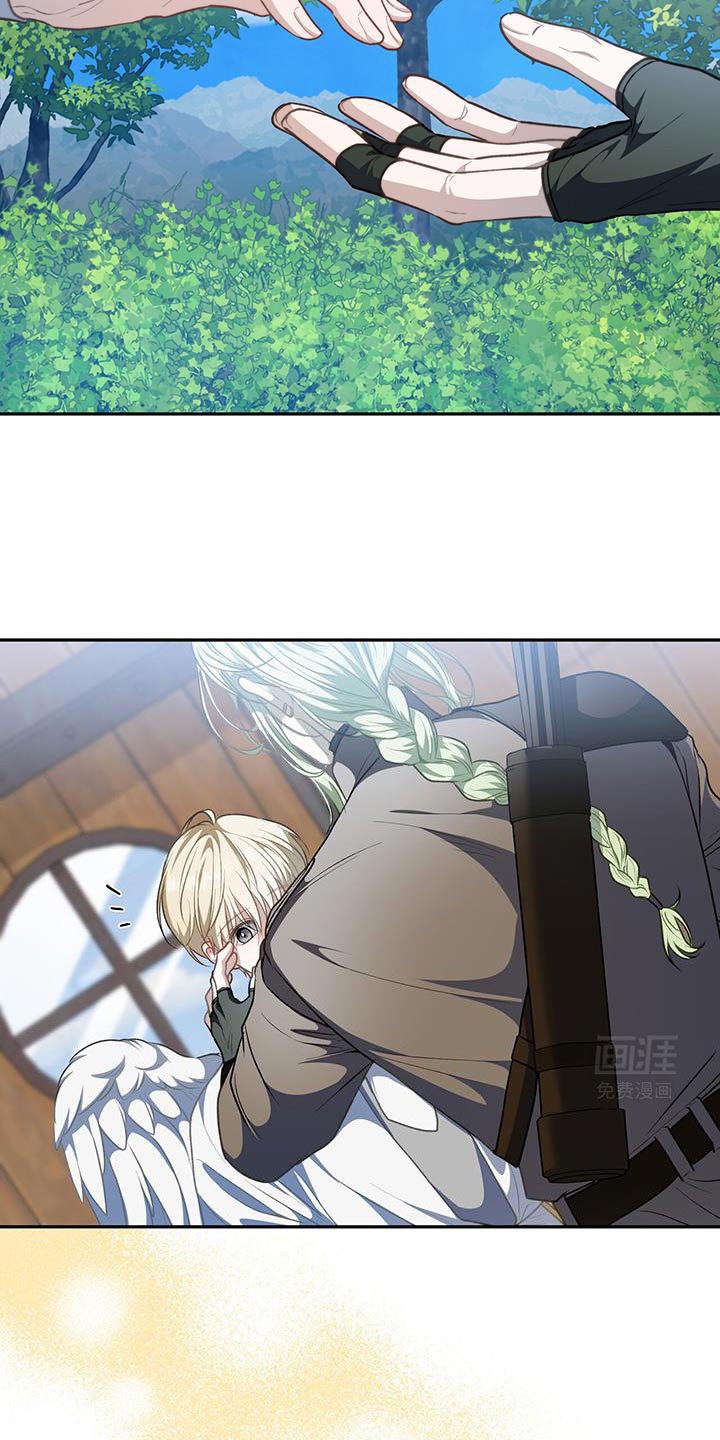 第88章：【第二季】森林的味道