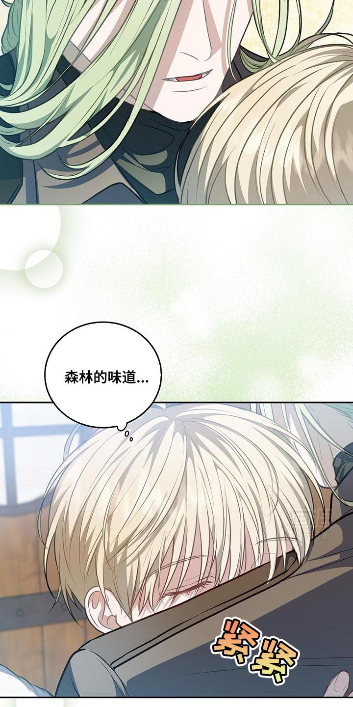 第88章：【第二季】森林的味道