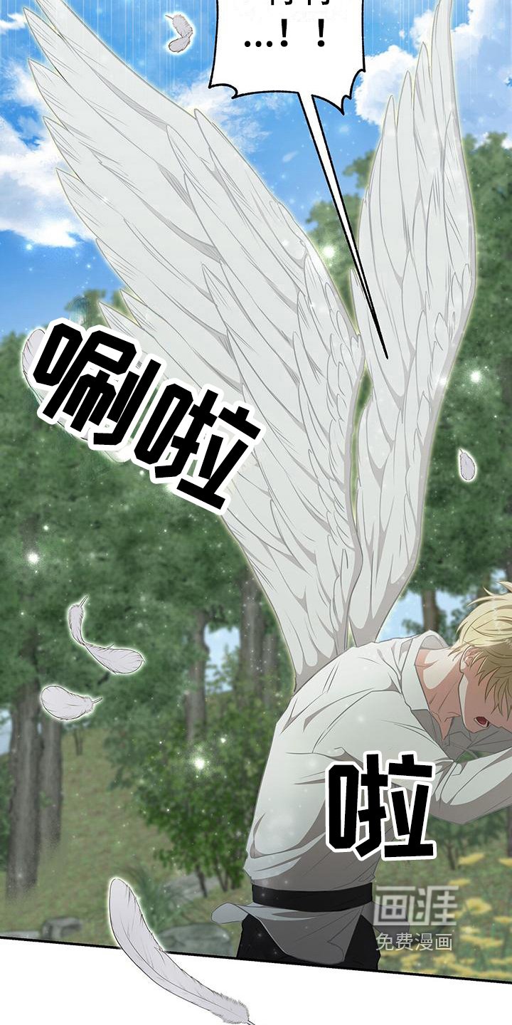 第9章：天人族
