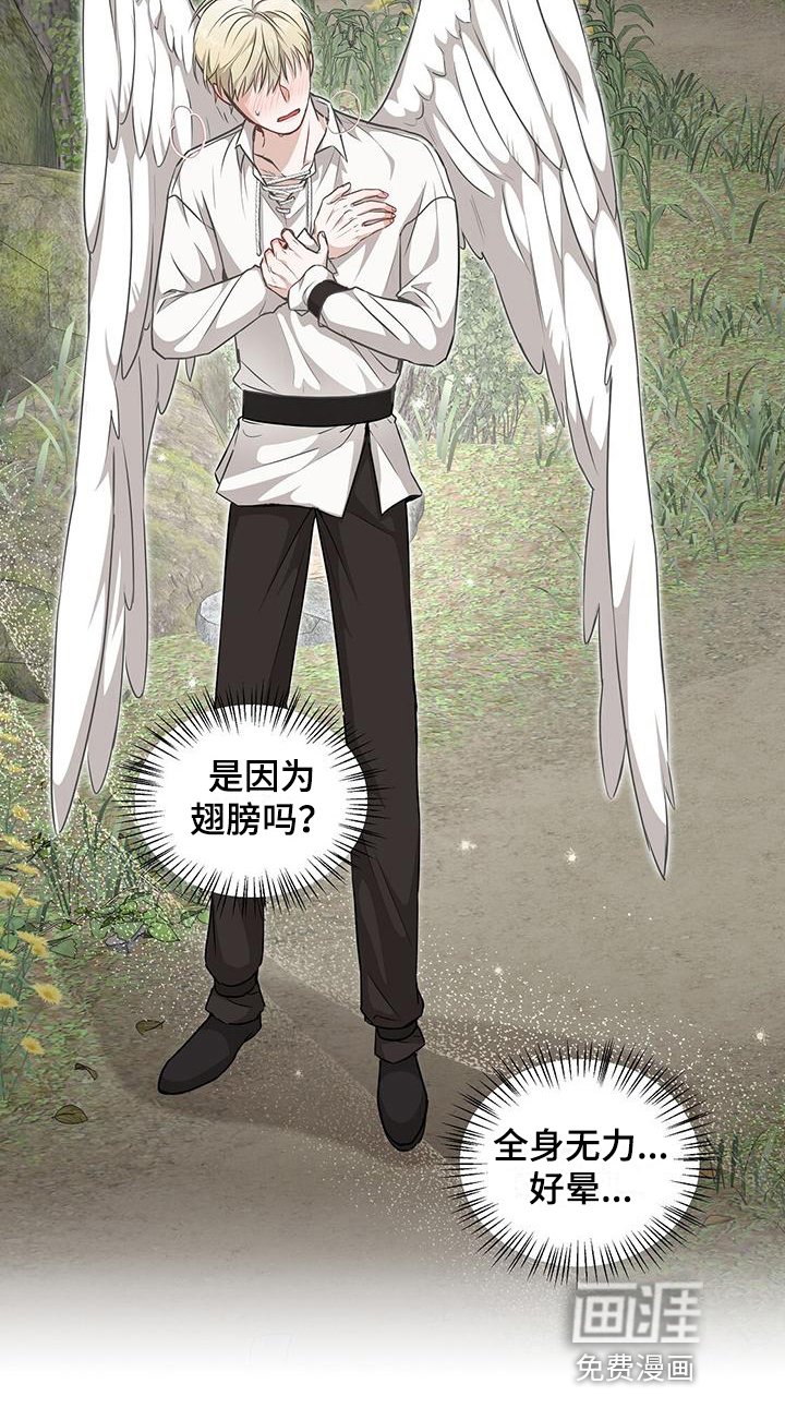 第9章：天人族