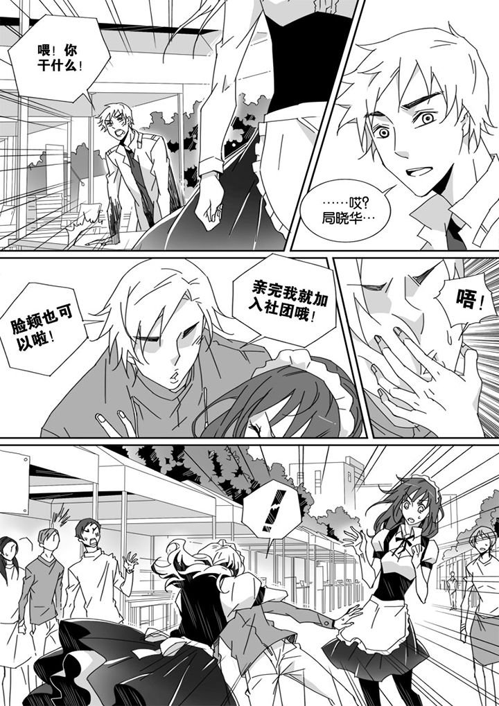 第13章：
